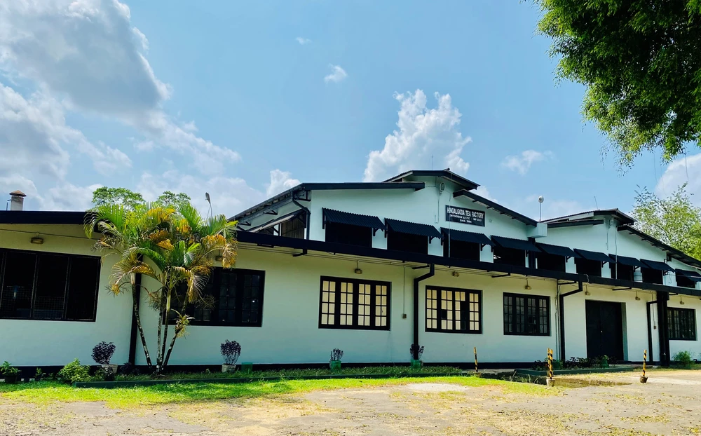 All-time record price for Hingalgoda Tea Factory